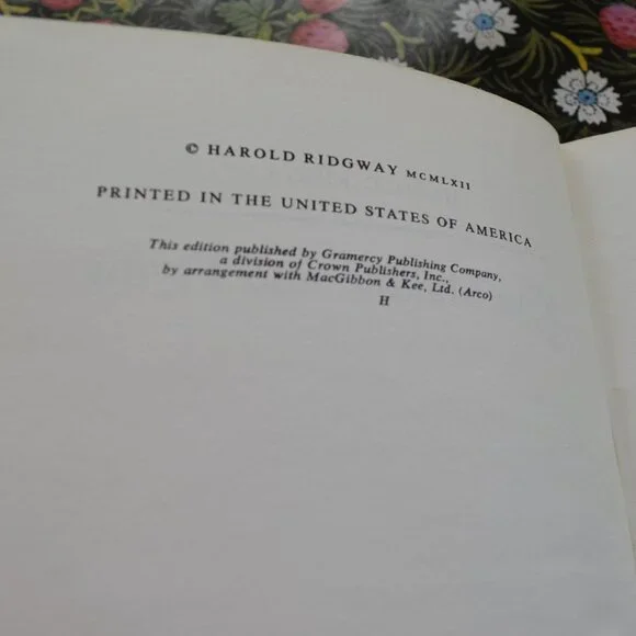 Kite Making and Flying - Picture 4 of 4